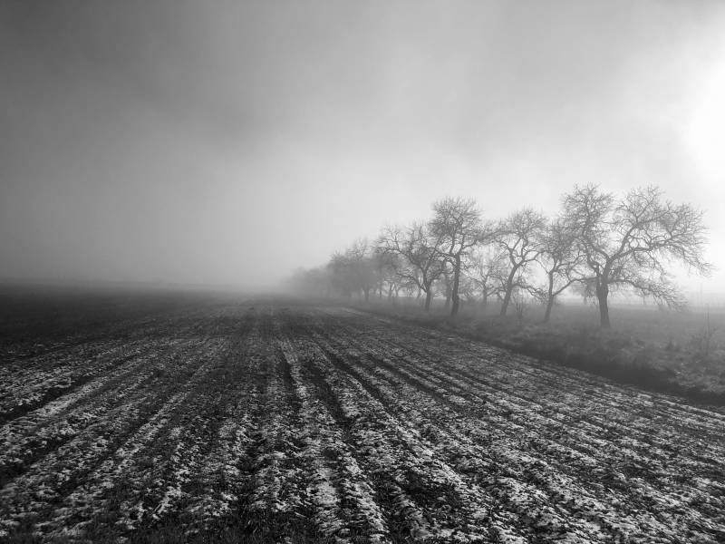 f_landscape2.jpg