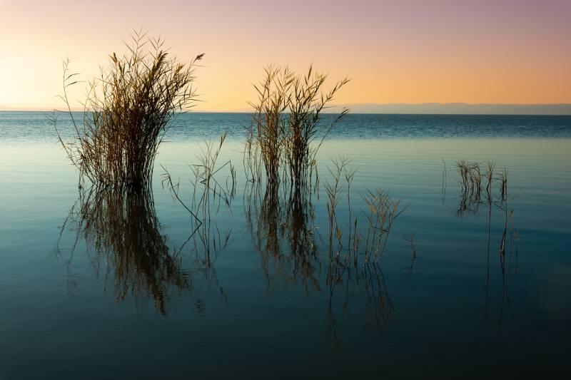 neusiedlersee1121L1030625gr.jpg